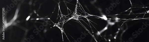 Fototapeta Intricate spiderweb design against a dark background.