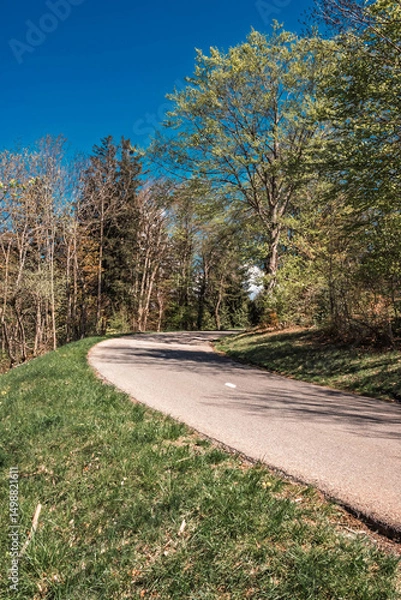 Obraz Petite route sinueuse du Salève traversant la forêt ou les alpages