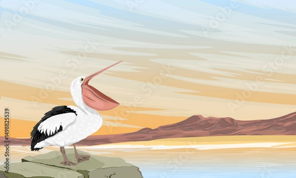 Obraz Pelican standing on a rock on the seashore at sunset. Wild birds of Australia, New Guinea and Indonesia. Vector realistic illustration