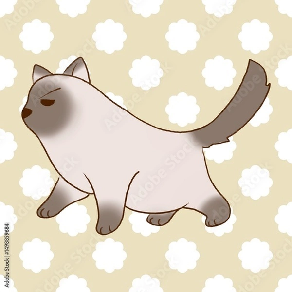 Fototapeta Cute two-colored fat cat suitable for screen printing on objects.