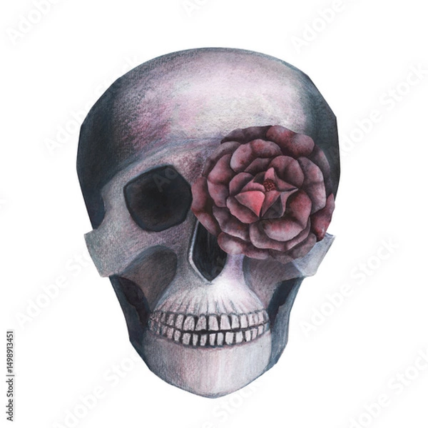 Obraz Scull with roses in the eye gothic magical texture isolated on white background. Watercolor hand drawn esoterics skull illustration. Art for design mystical halloween witch decoration, scary card