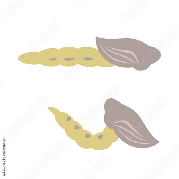 Fototapeta ユスリカのさなぎ