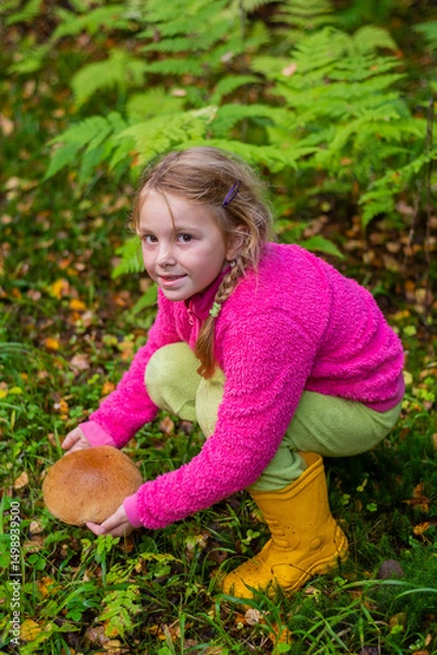 Fototapeta  In autumn, a girl collects mushrooms in the forest.