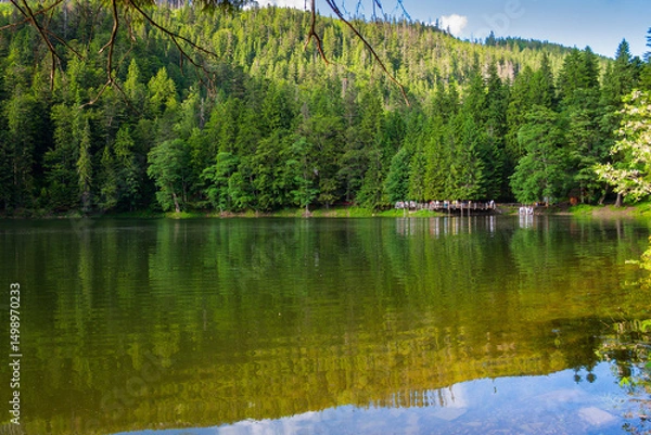 Fototapeta landscape with lake and coniferous forest. synevyr national park in the afternoon. carpathian mountains in summer. wonderful scenery reflecting in the calm water. tranquil recreation