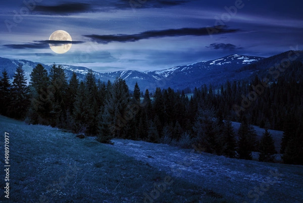 Fototapeta mountainous countryside landscape at night. coniferous forest on the hill in full moon light. snow capped distant ridge beneath a starry sky with dark clouds
