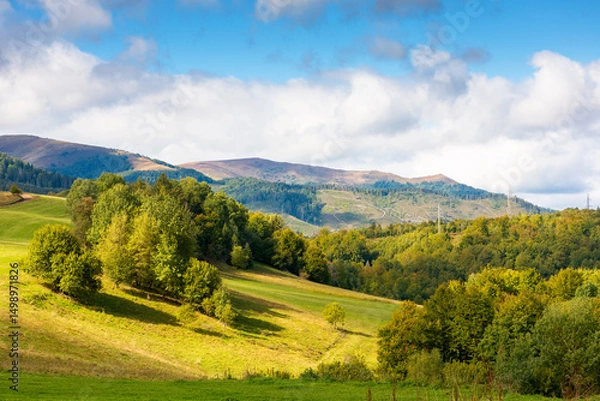 Fototapeta scenery with trees on the hill in dappled light. forested mountain landscape in autumn season. majestic borzhava ridge in the distance under cloudy sky