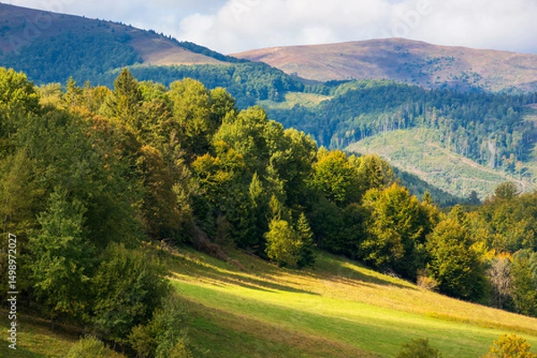 Fototapeta scenery with trees on the hill in dappled light. hilly volovets district of transcarpathia. gorgeous borzhava ridge in the distance under cloudy sky
