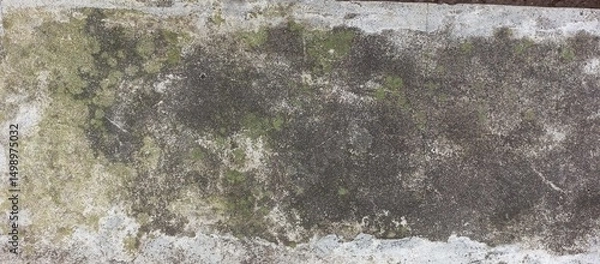 Obraz Mossy Concrete Surface with Weathered Texture