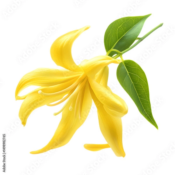 Obraz a yellow flower with bright green leaves, showcasing its beauty in vivid detail. Isolated on transparent background, cut out, PNG 3D Digital Art, clip art.