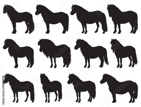 Obraz MINIATURE SHETLAND PONY SILHOUETTE