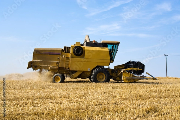 Fototapeta Wheat harvesting - harvester on field, view from right side