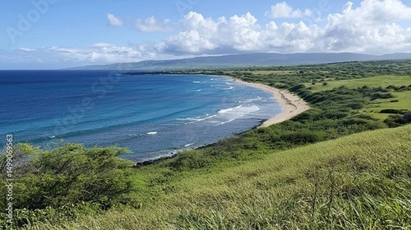 Fototapeta aerial view of the coast