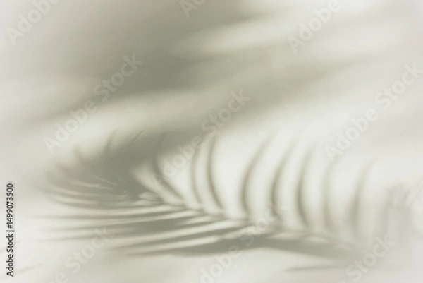 Obraz Abstract shadows with palm tree branch. Background and layout