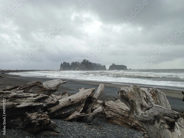 Obraz sea and timber