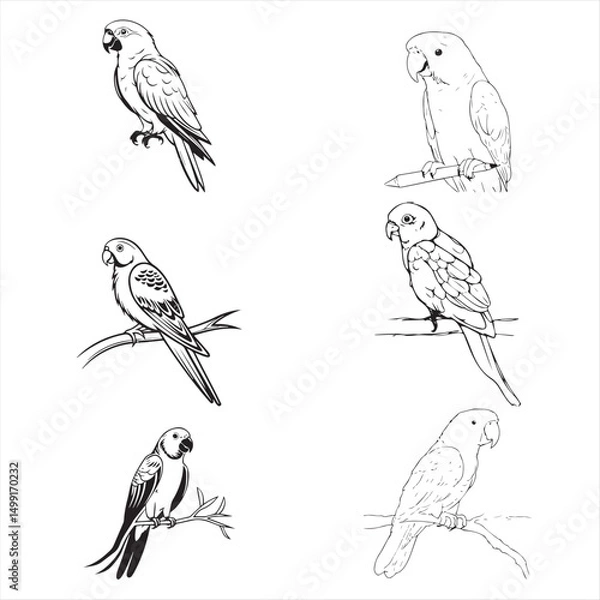 Fototapeta Group parrot vector design