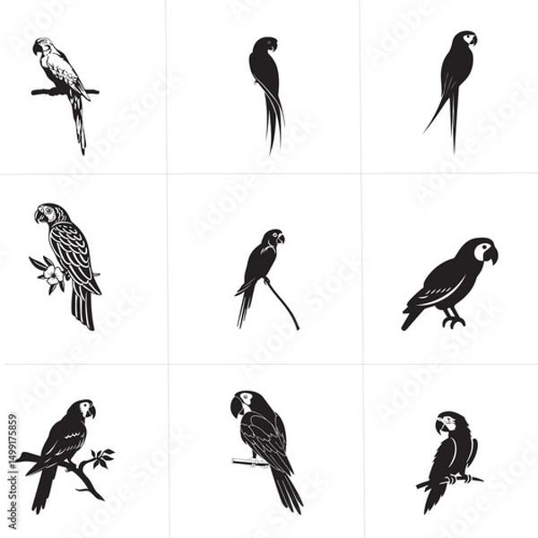 Fototapeta Group parrot vector design