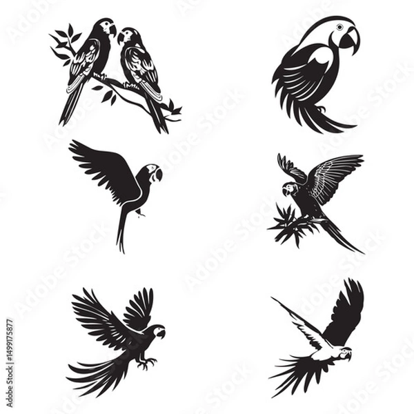 Fototapeta Group parrot vector design