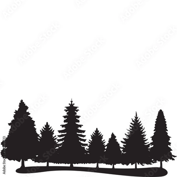 Fototapeta  Pine Tree Silhouette