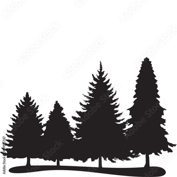 Fototapeta  Pine Tree Silhouette