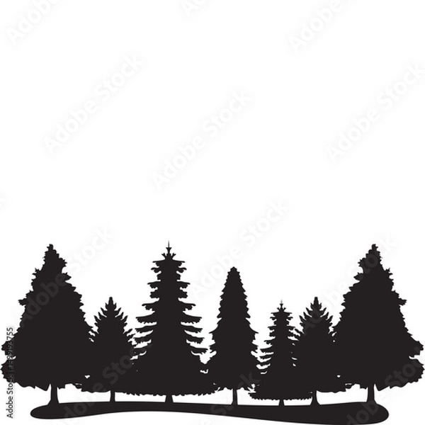 Fototapeta  Pine Tree Silhouette