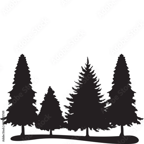 Fototapeta  Pine Tree Silhouette