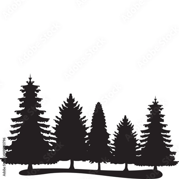 Fototapeta  Pine Tree Silhouette