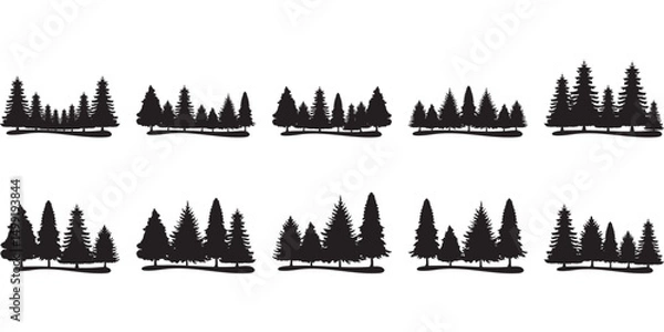 Fototapeta  Pine Tree Silhouette