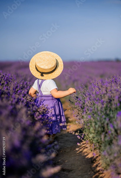 Obraz little girl child in a lilac sundress and a braided hat stands in a field of lavender