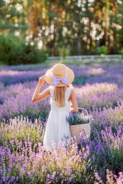 Obraz girl in a hat stands in a field of lavender and looks at the sunset. She's wearing a white dress. There's a basket of lavender in her hand. View from the back