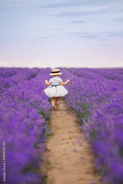 Obraz A one-year-old girl in a fluffy dress and a braided hat walks in a lavender field. View from the back