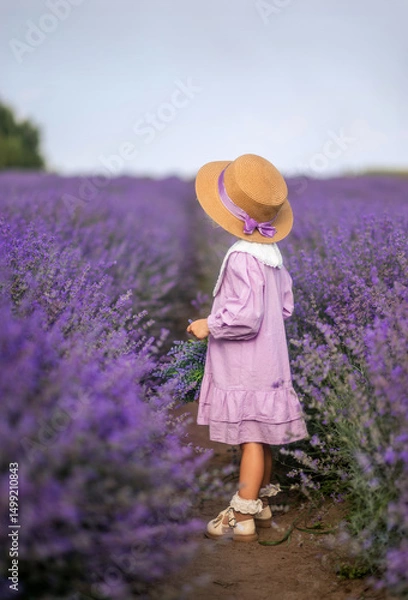 Fototapeta child is a girl in a lilac dress and handbag, a braided hat in a lavender field