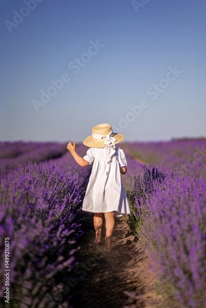 Obraz The child is a girl in a white dress and a hat in a lavender field. Provence, photo from the back