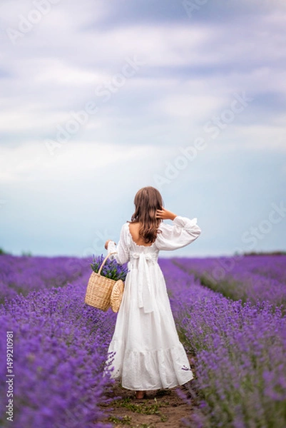 Obraz girl in a white dress stands in a field of lavender with a basket of flowers
