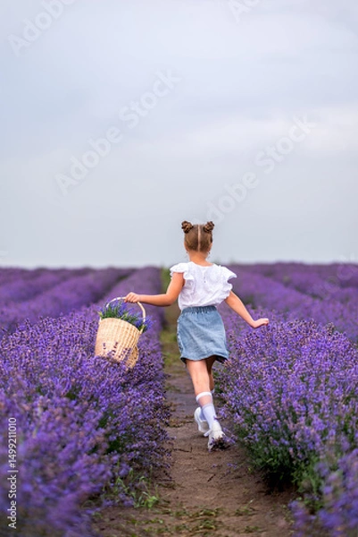 Obraz A girl with a basket runs in a lavender field. Feed from the back