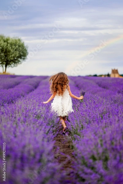 Obraz girl in a white dress runs through a field of lavender. Hair develops beautifully, view from the back, Provence
