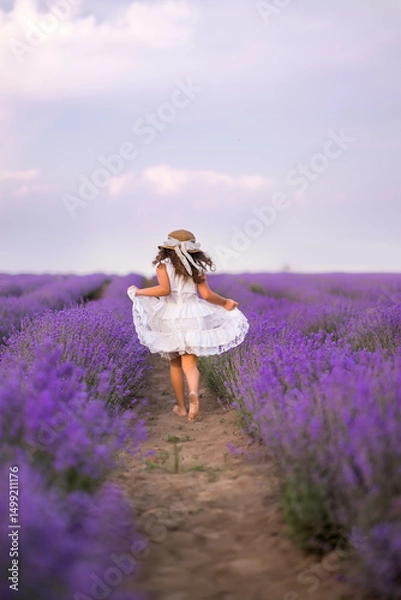 Obraz girl in a white dress runs through a field of lavender. Hair develops beautifully, view from the back, Provence