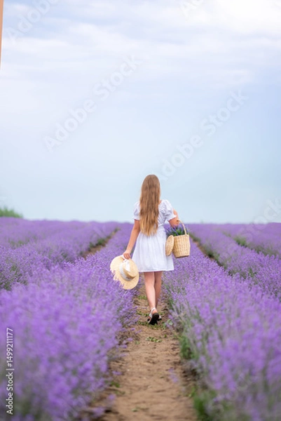 Obraz A girl in a white dress walks with a basket in a lavender field. She has a wicker hat and a basket of flowers.