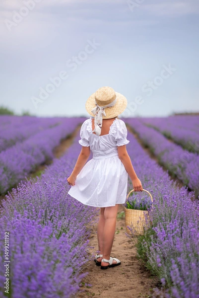 Obraz girl in a white dress and hat stands in a field of lavender with a basket of flowers