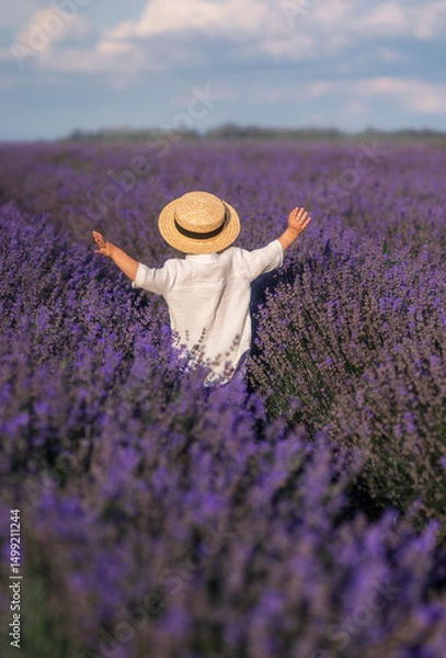 Obraz A boy in a hat runs into a field of lavender. Provence