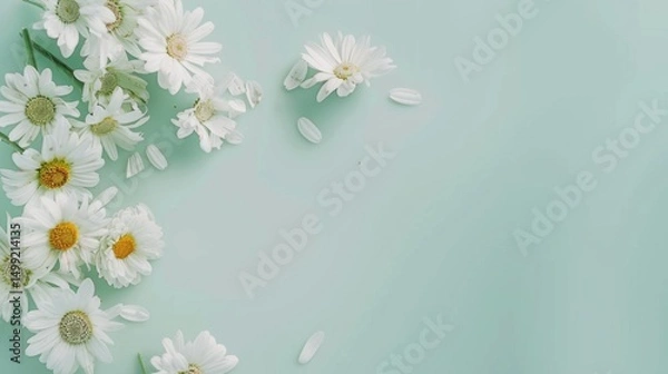 Fototapeta Top view of white daisies scattered gracefully on a soft mint green table, evoking a sense of purity and freshness.
