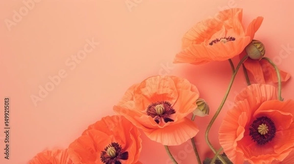 Fototapeta Vibrant orange poppies neatly arranged on a soft coral table, with plenty of room for celebratory wishes or text.