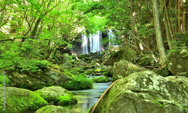 Fototapeta 栃木県那須塩原市　乙女の滝と沢名川