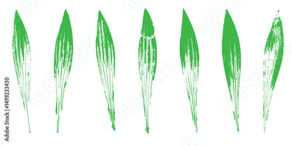 Obraz Natural leaves imprint, Grunge style, Vector, Isolated, Decorative elements for design	