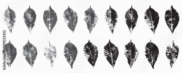 Fototapeta Natural leaves imprint, Grunge style, Vector, Isolated, Decorative elements for design	