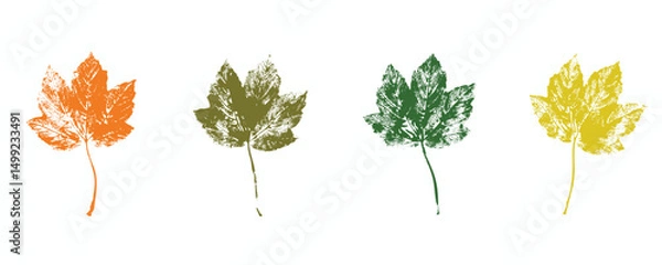 Obraz Natural leaves imprint, Grunge style, Vector, Isolated, Decorative elements for design	