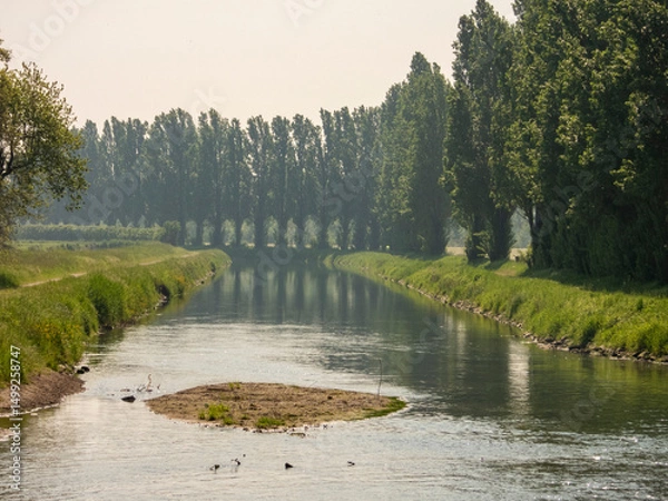 Obraz Canale della Muzza (Lombardia)