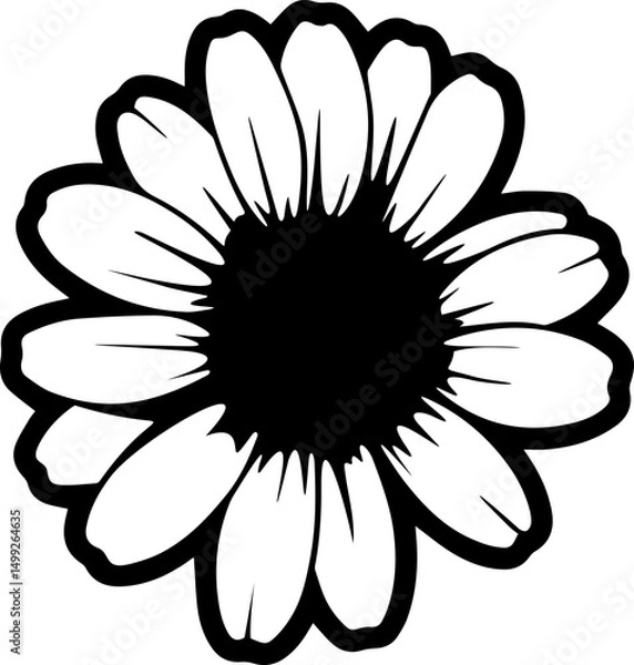 Fototapeta beautiful daisy flower 