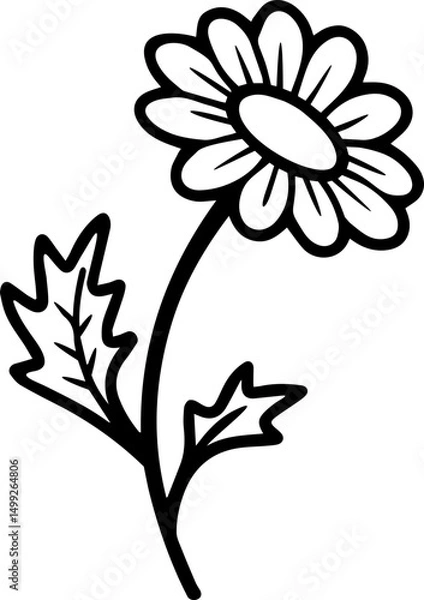 Fototapeta daisy flowers 