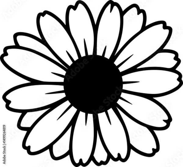 Fototapeta daisy flowers 