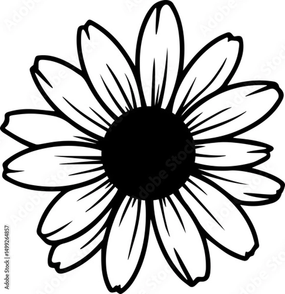 Fototapeta daisy flowers 